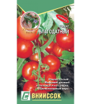 tomatblagodatnyj-700x800