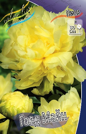 Paeonia Gold Mine.jpg Paeonia Gold Mine.jpg