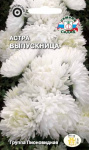 Астра Выпускница (пионовидная,чисто белая)