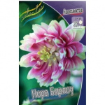 Аквилегия Нора Барлоу (2шт) 568