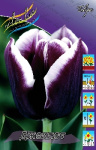 Тюльпан Джекпот (1шт) 1426