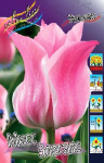 Тюльпан Мисс Элеганс (1шт) 3399 (10)