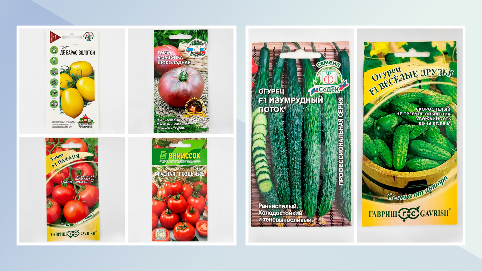 СЕМЕНА в наличии!