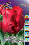 Тюльпан Бастонье Пэррот (1шт) 3329