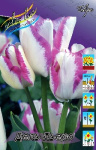 Тюльпан Дель Пьеро (1шт) 2466 (10)