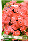 Флокс Розовые Губы