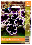 Глоксиния КАЙЗЕР ВИЛЬГЕЛЬМ