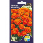Бархатцы Ханикомб (нана дубл ханикомб)