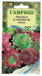 Молодило Каменная Роза ГАВРИШ