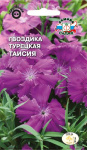 Гвоздика Таисия (вид турецкая, фиолетово-пурпурная)