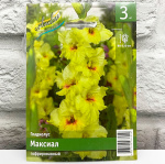 Гладиолус МАКСИАЛ гофрированный
