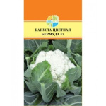 Капуста цветная Бермуда F1