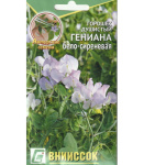 Горошек душистый Гениана