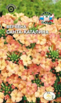 Вербена Санта-Каталина (абрикосово-розовая)