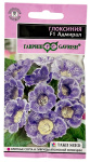 Глоксиния Адмирал F1 ГАВРИШ