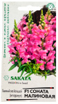 Антирринум (Львиный зев) Соната малиновая F1* 10 шт. Саката серия Элитная клумба Н21