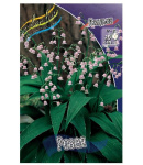 Ландыш Розея (2шт) 599