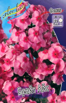 Флокс Брайт Айс (1шт) 2393