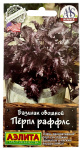 Базилик овощной ПЁРПЛ РАФФЛС АЭЛИТА