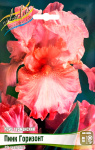 Ирис Пинк Горизонт (1шт)