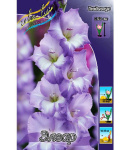 Гладиолус Элгар (1шт) 6306