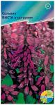 Сальвия сверкающая ВИСТА пурпурная АКВАРЕЛЬ