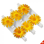 Клипса для орхидей летние цветы