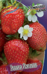 Fragaria Senga Gigana