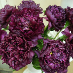 Пион Хайлайт (1шт) 4562