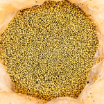 Горчица Белая 1кг 