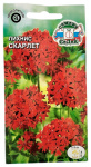 Лихнис СКАРЛЕТ СеДеК