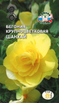 Бегония Шанхай крупноцветковая