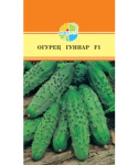 Огурец Гуннар F1 Акварель