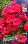Флокс Джулиглут (1шт) 4839