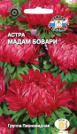 Астра Мадам Бовари (пионовидная)