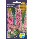 Дельфиниум Астолат