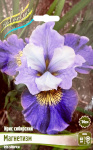Ирис Магнетизм (1шт)