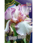 Ирис Германский Моде Моде (2шт) 4608