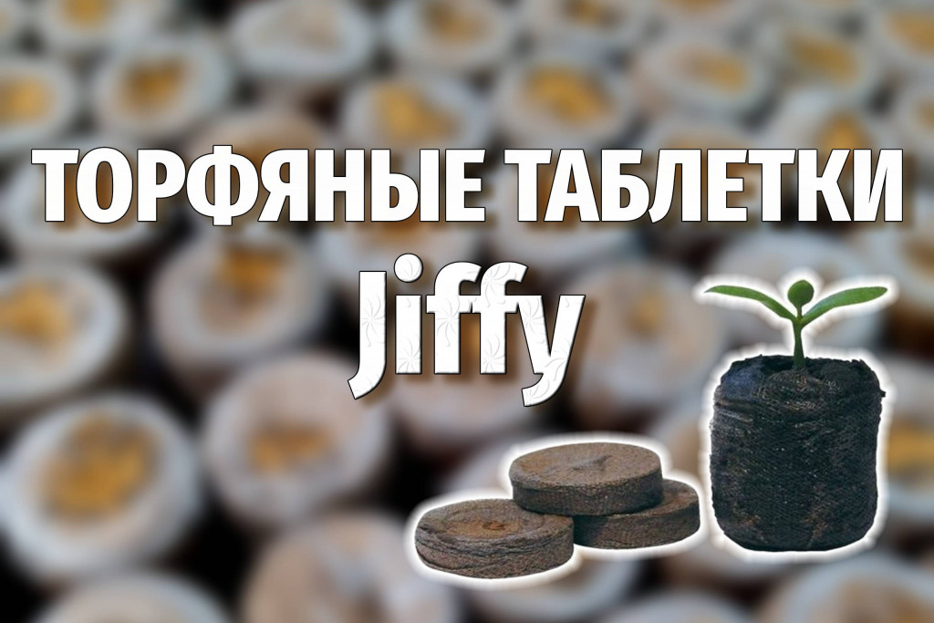 Большое поступление торфяных таблеток для рассады!