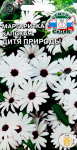 Маргаритка капская Дитя природы (остеоспермум) (Евро, 0,1)