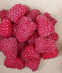 Малина Чемайнус 6502