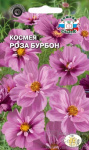 Космея Роза Бурбон (бипиннатус, махровая, нежно-розовая)