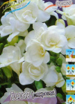 Фрезия Белая махровая (10шт) 3223