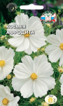 Космея Афродита (белый)