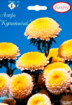 Астра Купидончик (желтая помпонная) 0,7г