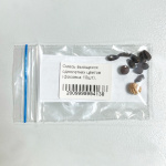 Смесь вьющихся однолетних цветов