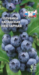 Голубика канадская Нектарная