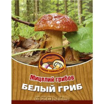 Грибы Белый гриб