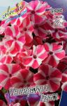 Флокс Пеперминт Твист (2шт)