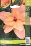 Лилия Фальмарин (1шт)
